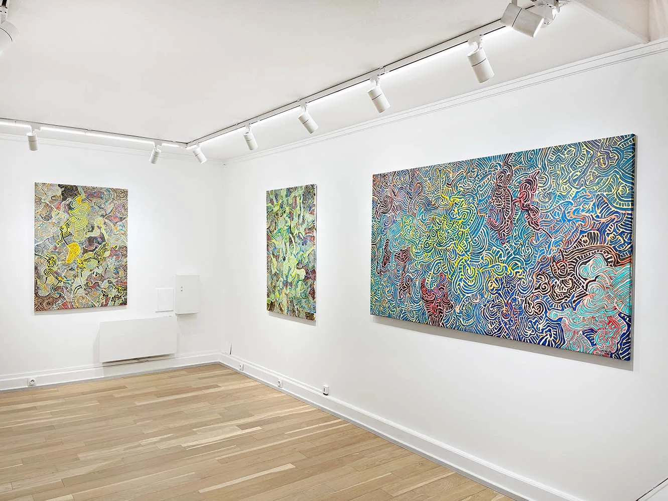 Exposition de Franck Cavadore à Biarritz-Art Contemporain Galerie Barthelemy Bouscayrol